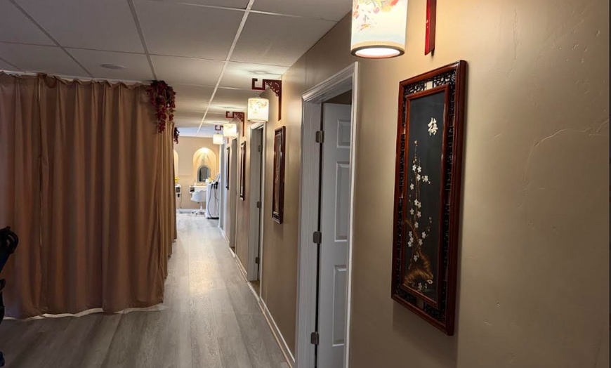 Image 3: 60-Minute Classic or Premium Water Circulation Head Therapy and More