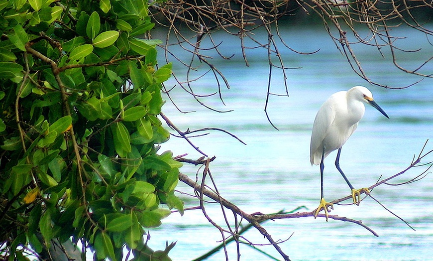Image 4: 2 Hour Private Boat Charter for Up to 6 Guests 