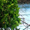 Image 4: 2 Hour Private Boat Charter for Up to 6 Guests 