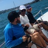 Image 6: 3-Hour Intro to Sailing for 1 or 2 | Small Group Up to 4 or Private