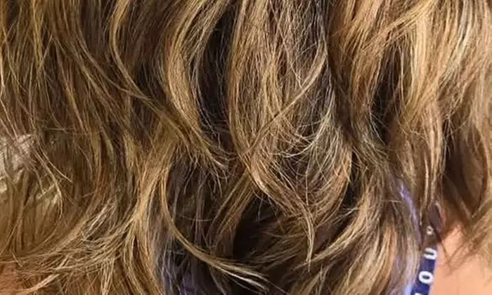 Elevate Your Look with Blowout, Partial Highlight, Style, & More