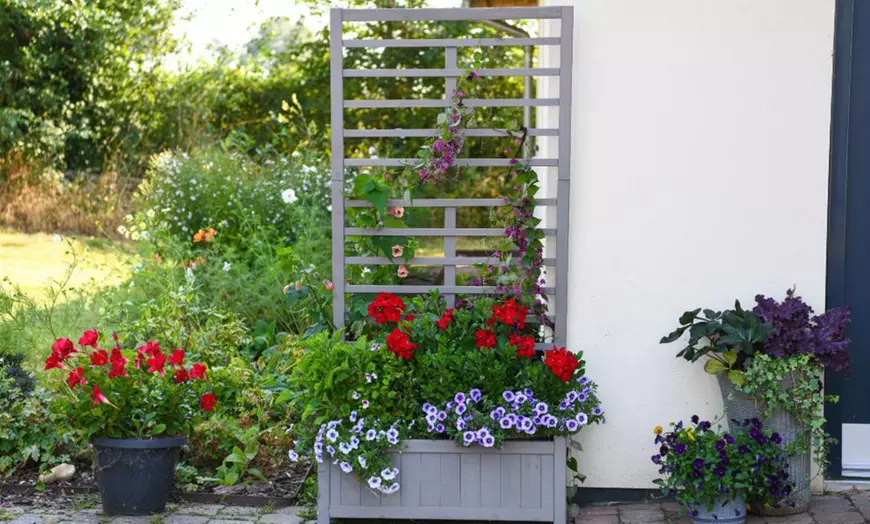 Image 1: Raised Wooden Planter with Climbing Trellis