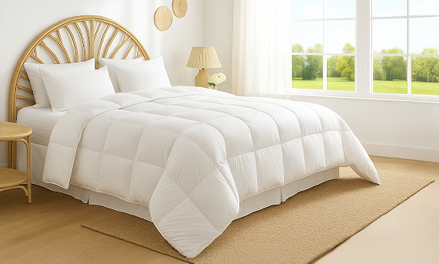 Image 1: Edredón 100% plumas de alta calidad ligero de 200 g/m² de Sampur