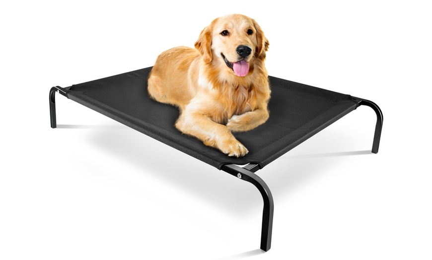 Elevated Steel-Framed Pet Bed | Groupon Goods