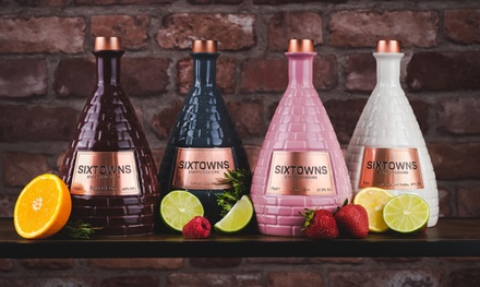 For Two : Gin Distillery Tour inc. welcome drink and 4x 25ml Signature Serves each