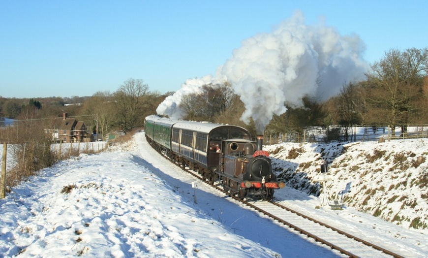 Image 2: Step Back in Time: Experience the Magic of the Bluebell Railway 
