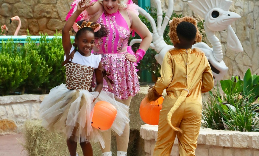 Image 18: FLASH SALE! Exhilarating Wildlife Adventure at San Antonio Zoo!