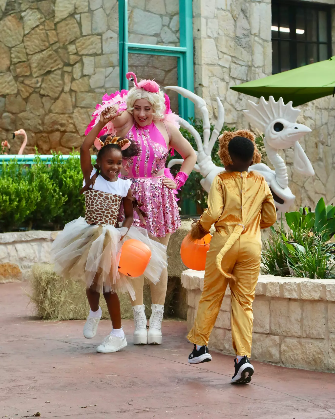 FLASH SALE! Exhilarating Wildlife Adventure at San Antonio Zoo!
