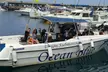 Excursión en barco de 2 horas con comida y bebida para 1 niño o 1 adulto con Ocean Blue Tenerife - Image 3