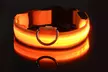 SAFETY LED Dog Pet Light Up Collar Night Glow Adjustable Bright 5 Color Leash - Second Medium