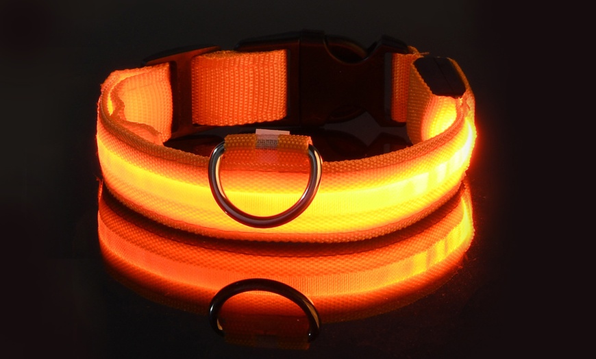 Image 2: SAFETY LED Dog Pet Light Up Collar Night Glow Adjustable Bright 5 Color Leash