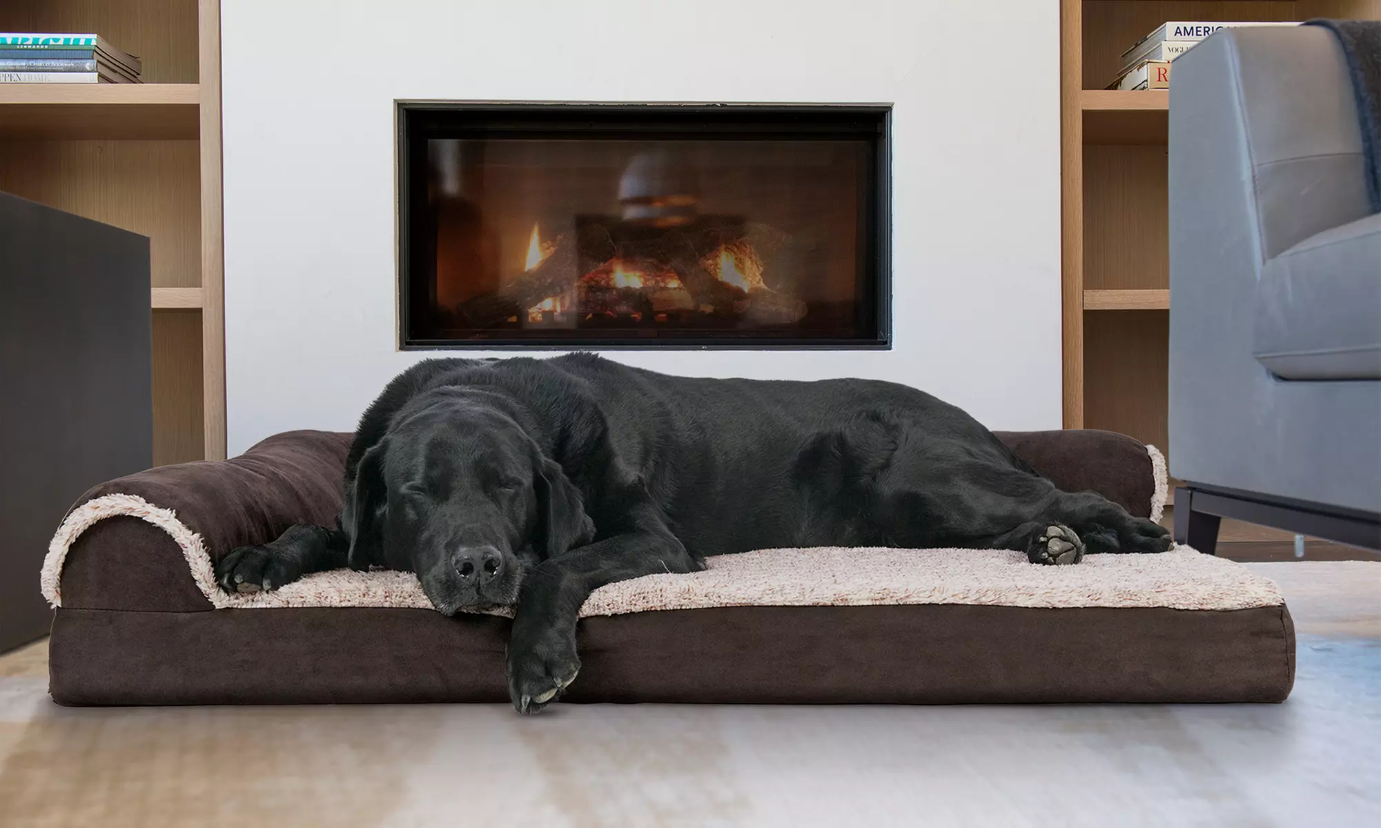 Furhaven Memory-Foam Chaise Lounge Dog Bed with Cooling Gel - Primary Image