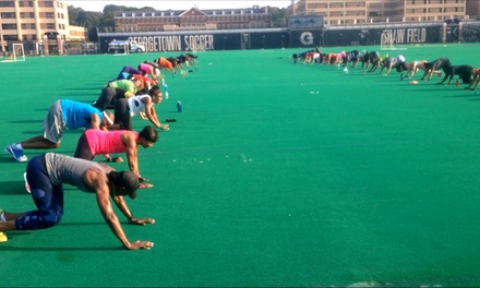One Week Trial of Unlimited Boot Camp Classes - CD Fit- High Performance Training