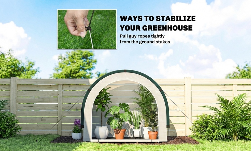 Image 9: Outsunny Foldable Small Greenhouse
