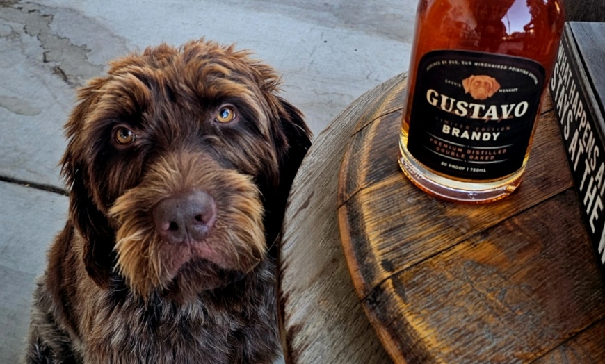 Image 8: Get a Wine Tasting Experience for Two, Four, or Six & Bottle Credits