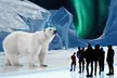 POLAR EXPERIENCE - Die Immersive Ausstellung über die Antarktis & die Arktis im Dezember & Januar (30% sparen) - Second Medium