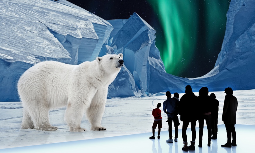 Image 3: Ticket für „POLAR EXPERIENCE“ im Dezember und Januar in Berlin