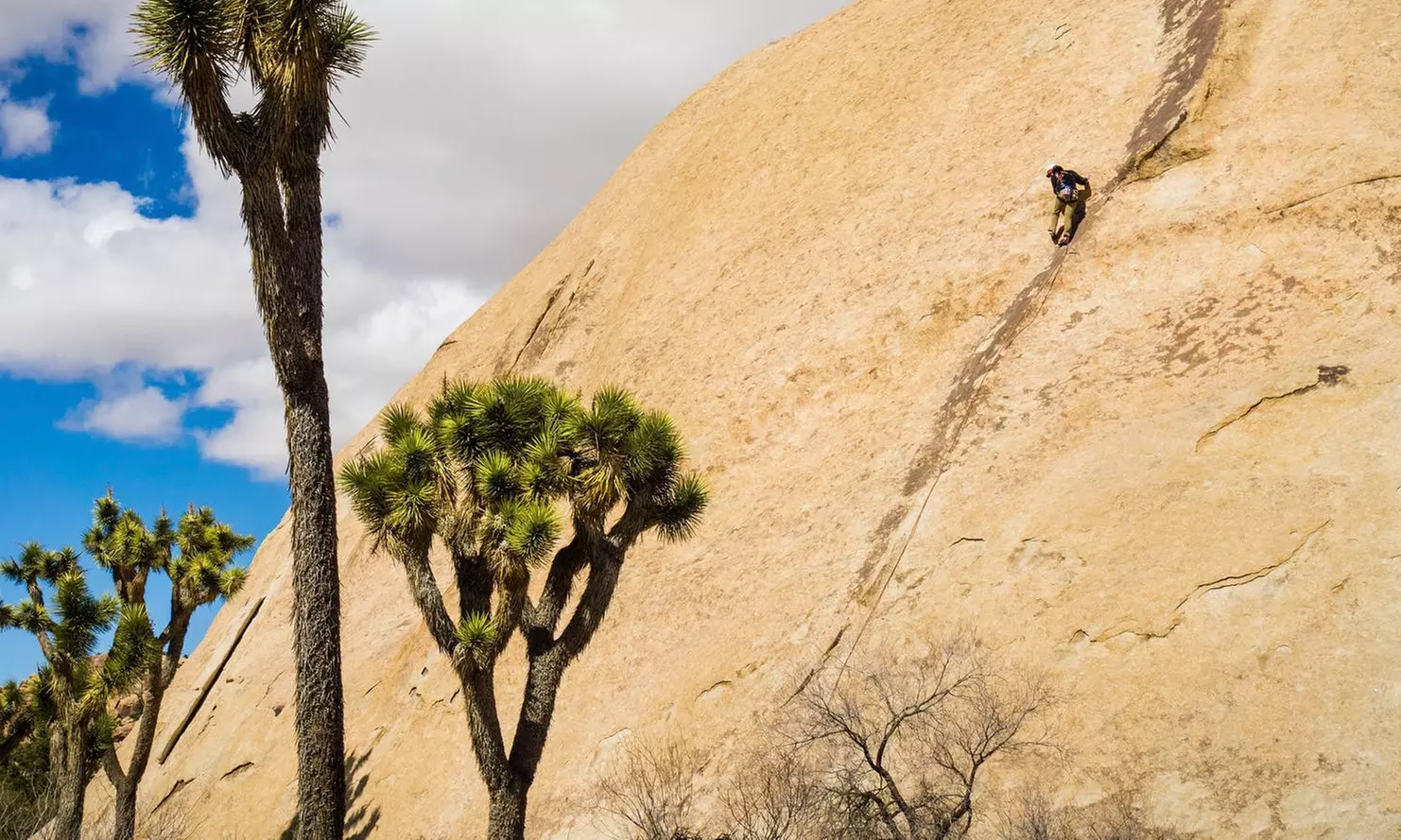 One-Day Joshua Tree Basic Rock-Climbing Course for One, Two, or Three at Mountain Madness - Primary Image