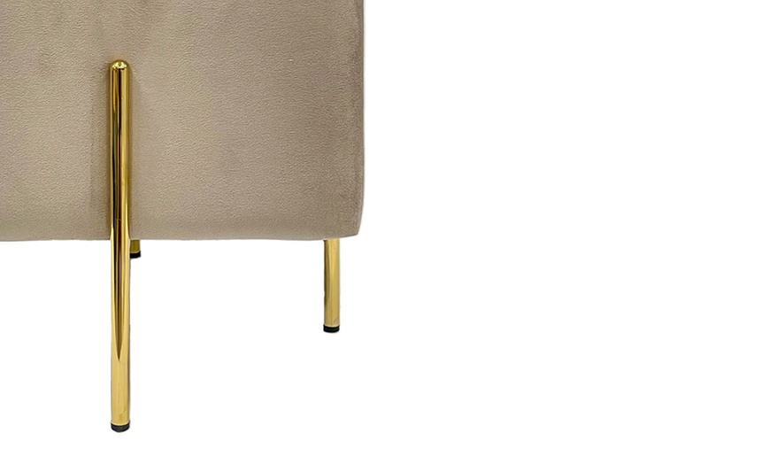Image 13: Pouf contenitore in velluto