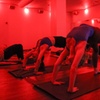 Image 5: Yoga Classes for All Levels with Variety of Styles