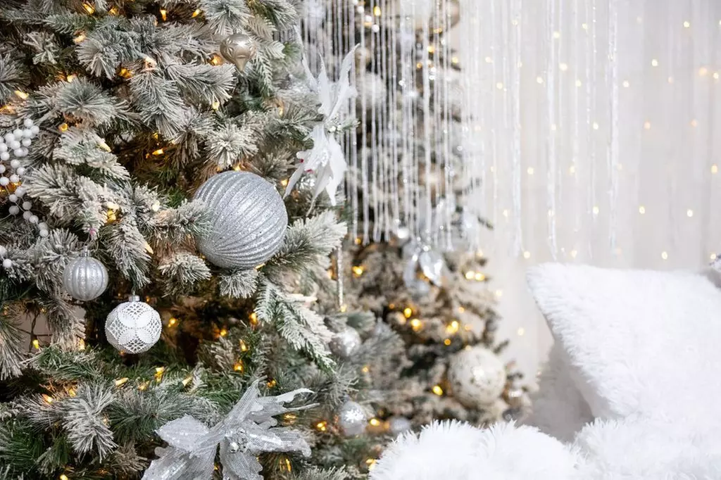 Photo Shoot Packages