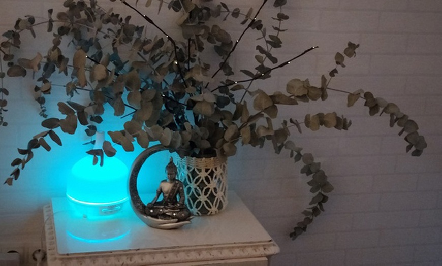 Image 3: Limpieza facial básica o profunda con opción a maderoterapia facial 