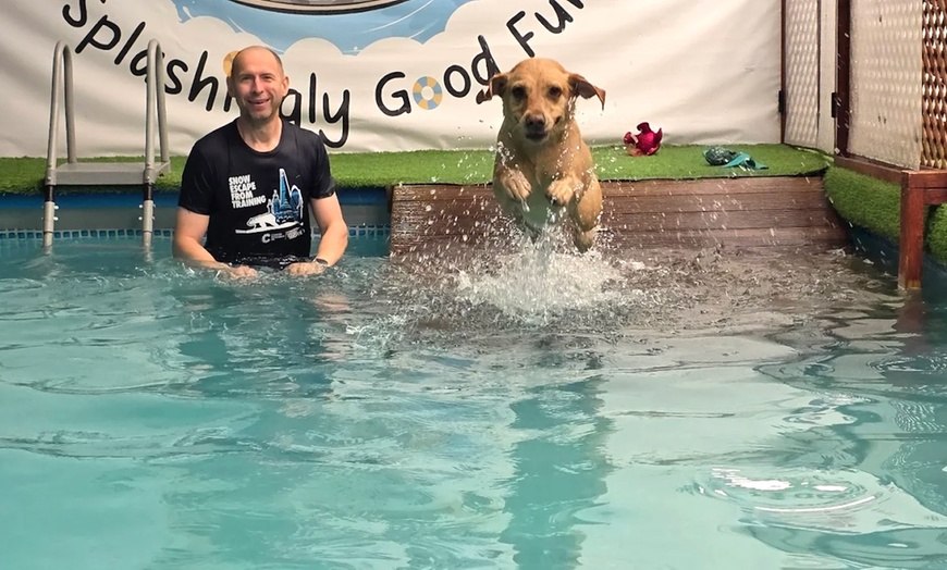 Image 16: Water Fun Awaits: Doggy Fun Swim Session (Owners Welcome to Swim Too)