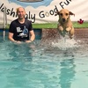 Image 16: Water Fun Awaits: Doggy Fun Swim Session (Owners Welcome to Swim Too)