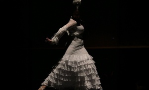 Espectáculo en Tablao Ópera Flamenca con entrada a grada o VIP Espectáculo en Tablao Ópera Flamenca con entrada a grada o VIP