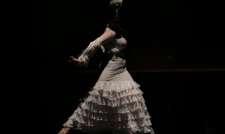 Espectáculo en Tablao Ópera Flamenca: grada - Tablao Ópera Flamenca