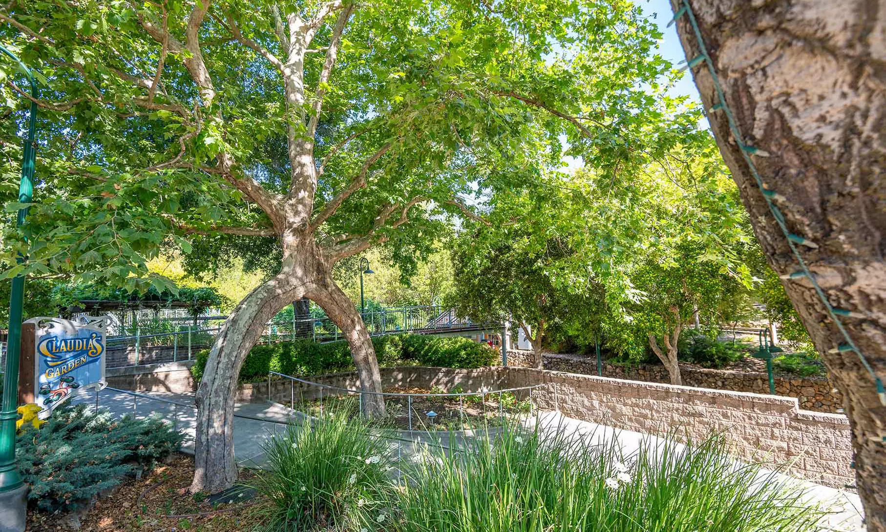 Gilroy Gardens: Over 40 Rides, Attractions & Famous Circus Trees