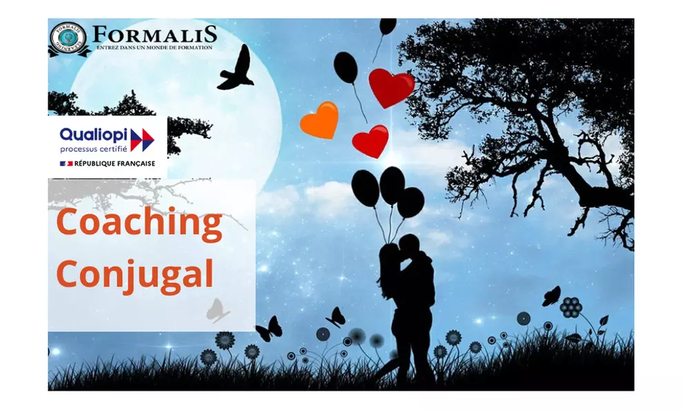 Formation en ligne pour devenir coach conjugal : semez l'amour, récoltez le bonheur (88% de remise) - Primary Image