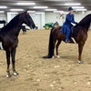 Image 4: Up to 34% Off Private Horseback Riding Lessons - Cherry Stables