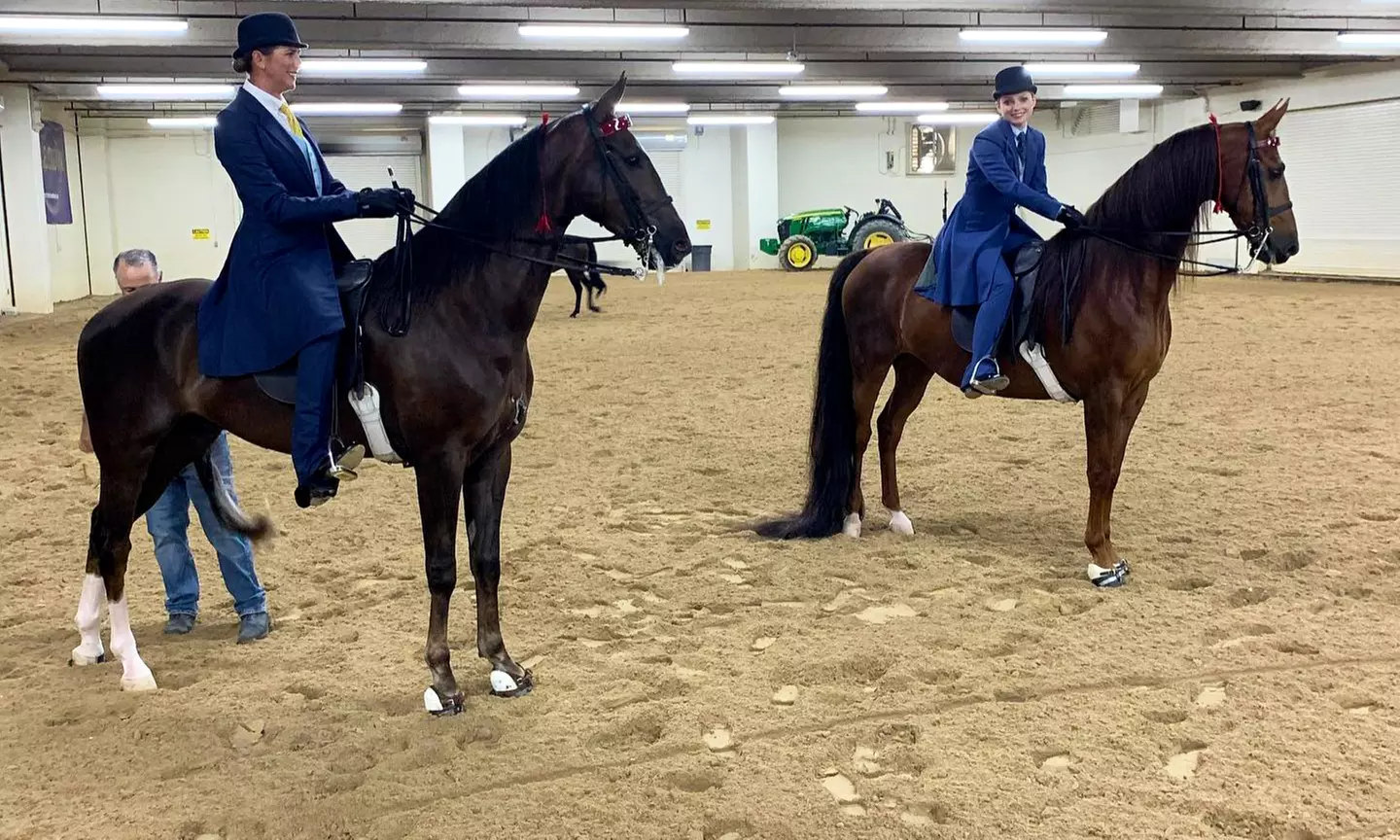 Up to 45% Off Private Horseback Riding Lessons - Cherry Stables