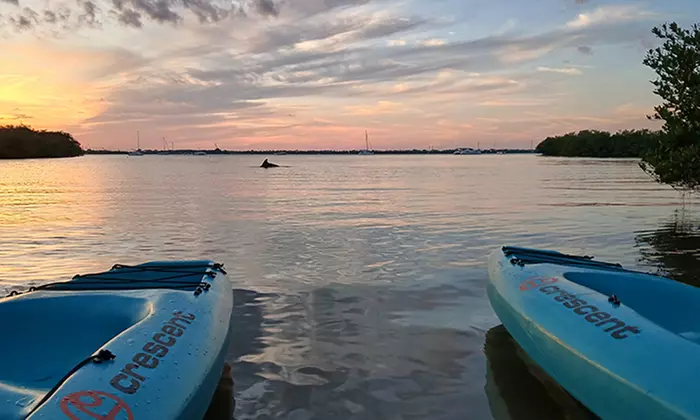 What to expect media