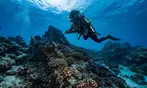 Deluxe Scuba Diving or PADI Open Water Certification for 2 or 3 Days
