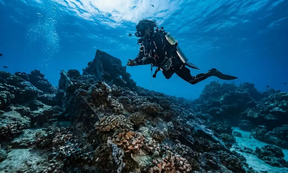 Deluxe Scuba Diving or PADI Open Water Certification for 2 or 3 Days