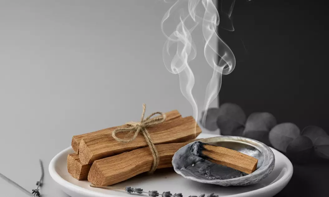 Brazilian, Half Leg and Underarm Wax, Brazilian and Full Leg Wax or Face and Body Waxing Bundle (Up to 50% Off) - Second Medium