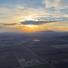 Image 7: Enjoy a Sunrise Hot Air Balloon Flights