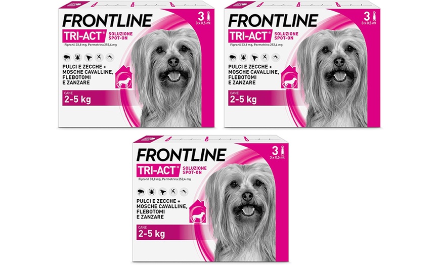 Image 25: Fino a 12 pipette Frontline Tri-Act® Spot-on per cani