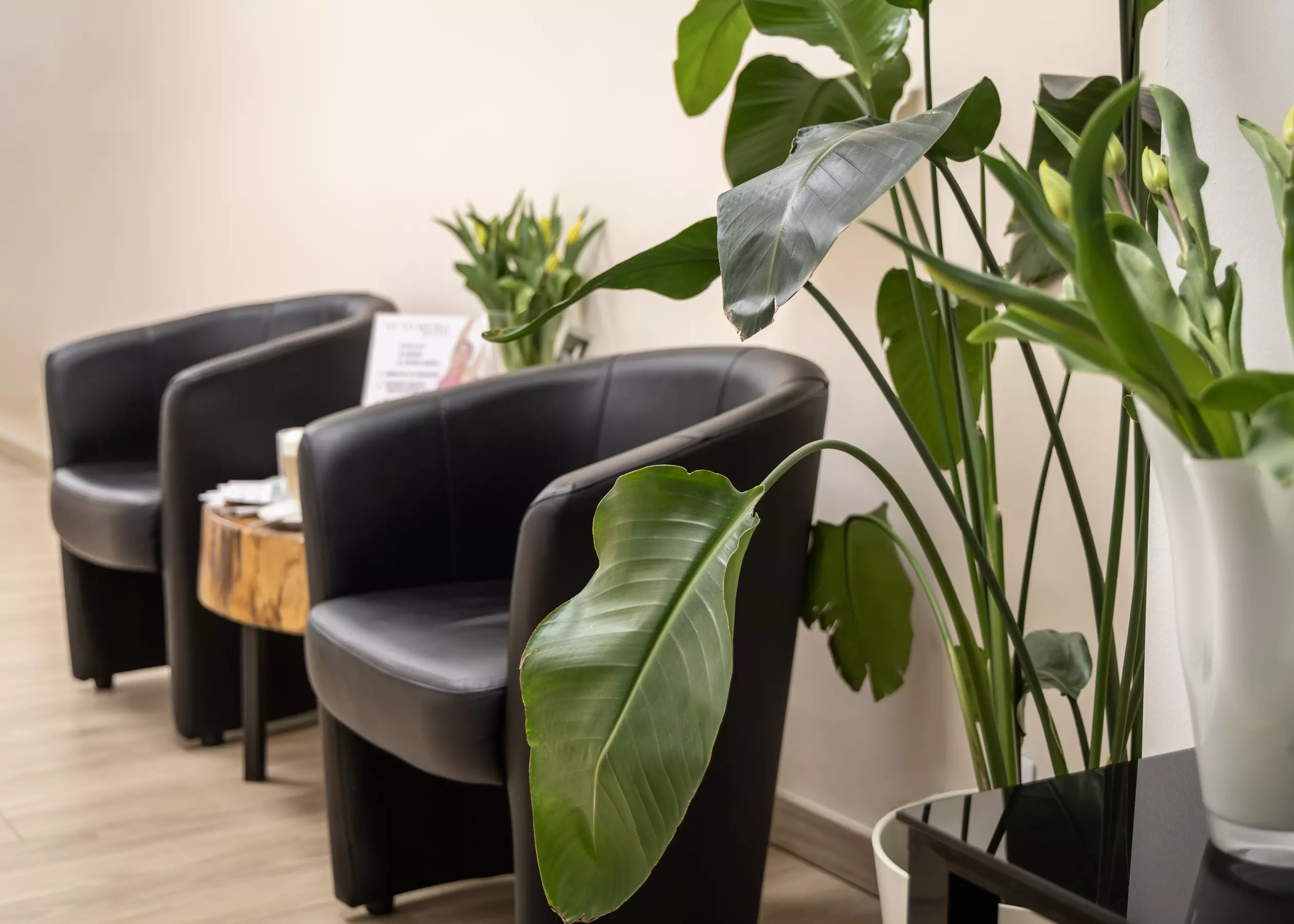 Zabiegi Magneffio na brzuch lub pośladki do wyboru