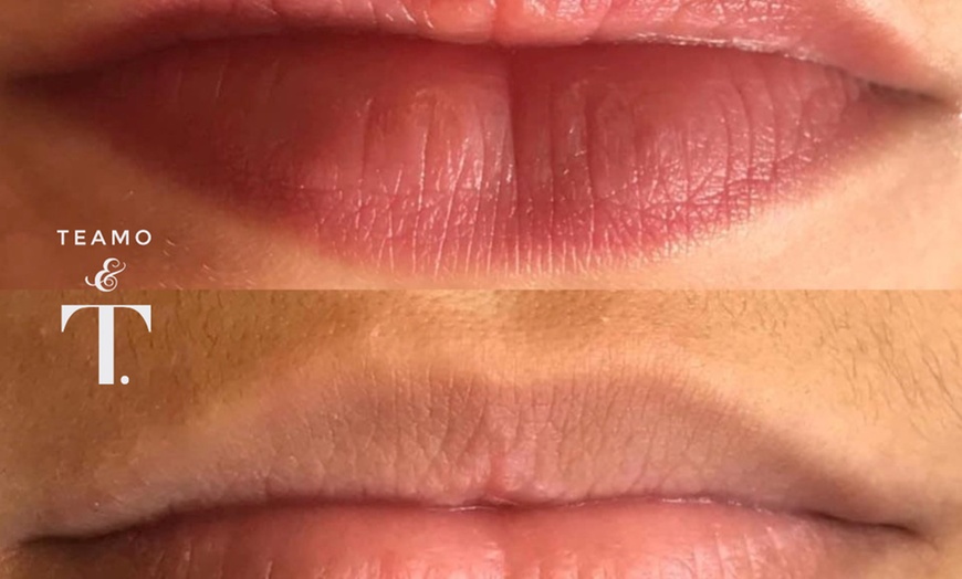 Image 4: Lip Blush Semi-Permanent Cosmetic Tattoo Treatment at TEAMO&T