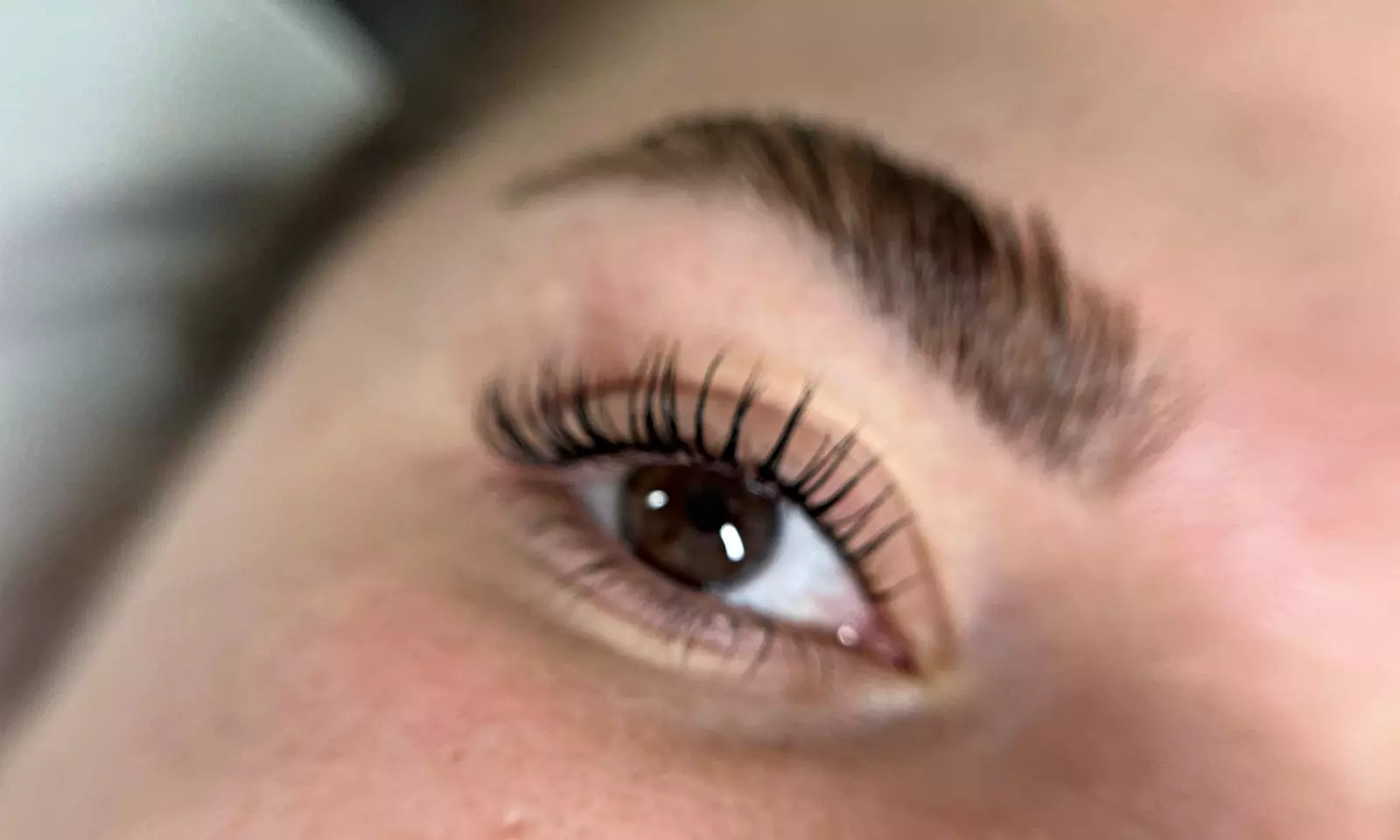 Arreglo de cejas y pestañas: lifting, laminado, extensiones y más