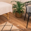 Image 3: Up to 37% Off on Deep Tissue Massage at Foxwood Massage Therapy.