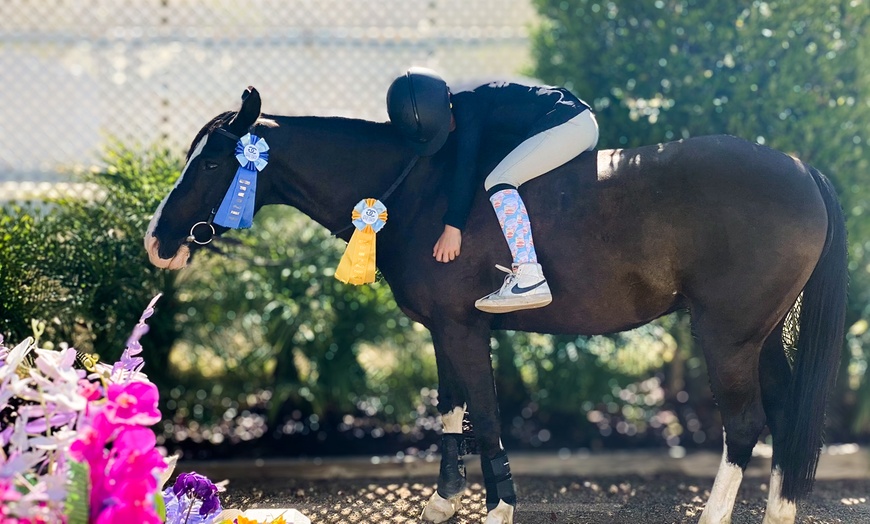 Image 5: Private English Riding Lessons – 45 Minutes