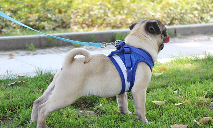 Image 7: No-Pull Hand Strap Dog Cat Vest With Dog Leash Pet Collar Adjustable Harness