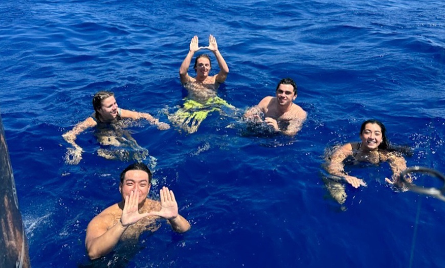 Image 5: Premium Snorkeling Adventures with Spearfishing and Lobster Hunting