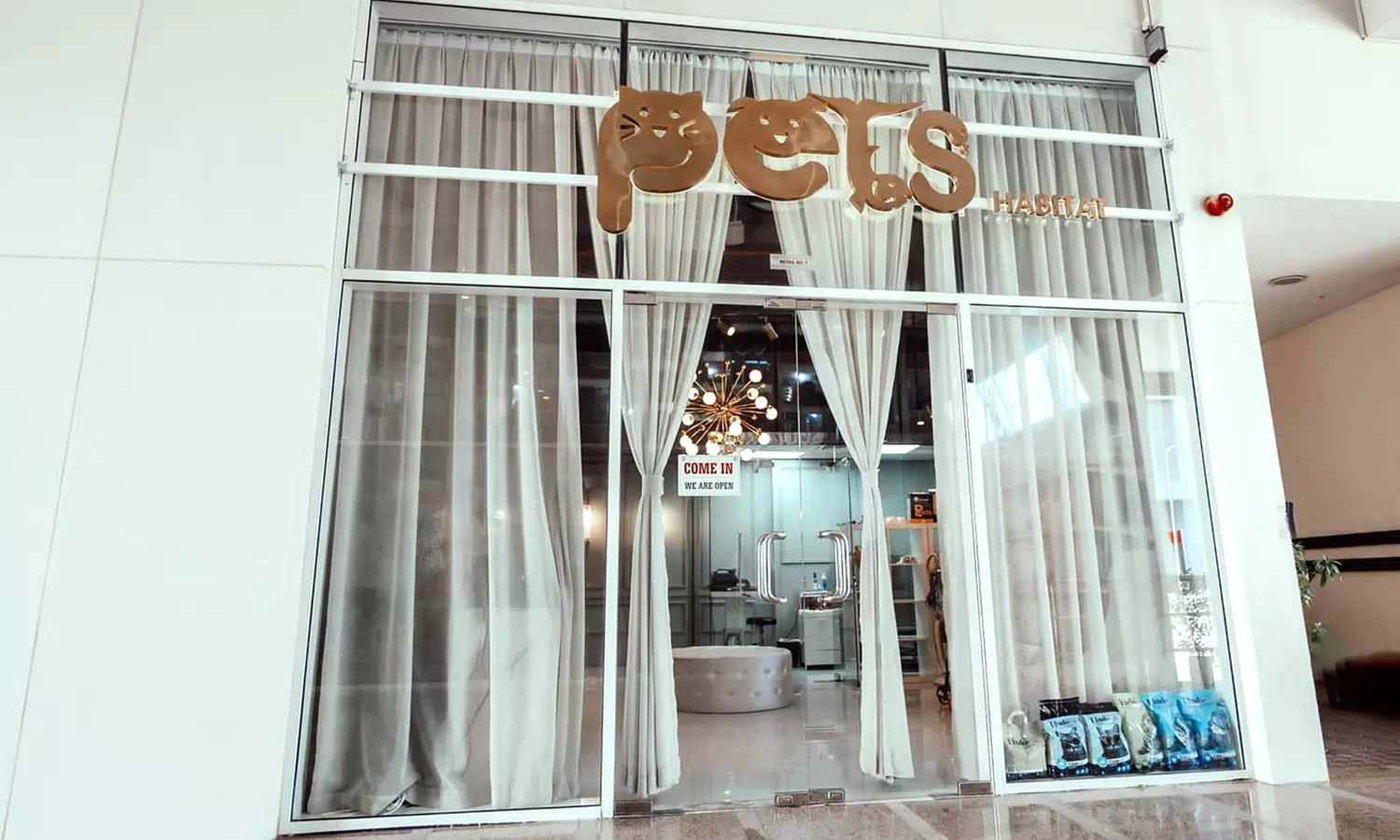 Basic or Full Grooming for Cats or Dogs at Pets Habitat (Up To 51% Off) - Image 5