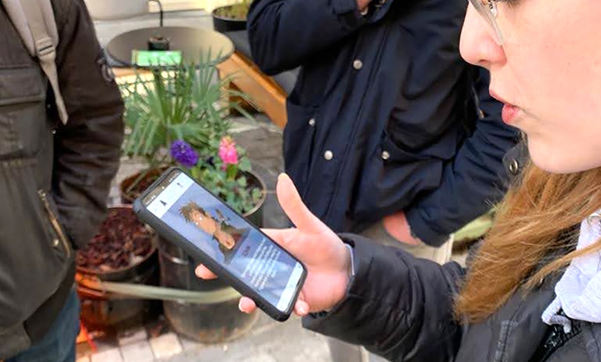 Image 2: City game au choix pour explorer une ville