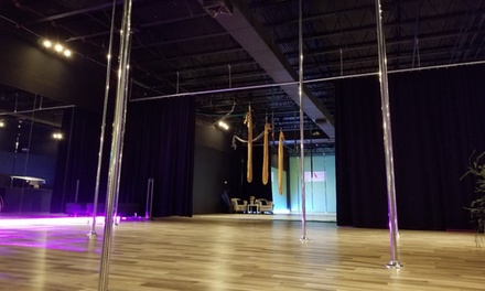 Three 60-Minute Pole and/or Aerial Lessons - Buttercup Pole Dance
